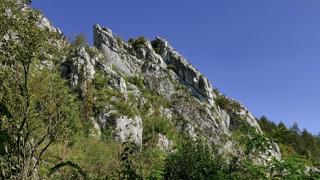 Tajniki Pracy Alpinisty Przemysłowego: Wspinaczka po Drabinie Kariery - 2 2025 Tajniki Pracy Alpinisty Przemysłowego: Wspinaczka po Drabinie Kariery - 1 2025